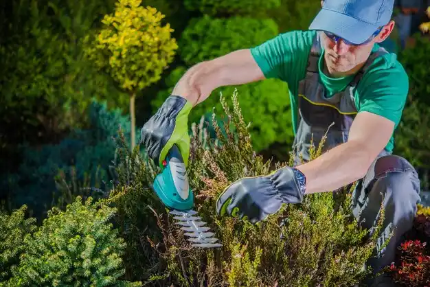landscaping services Lathrup Village